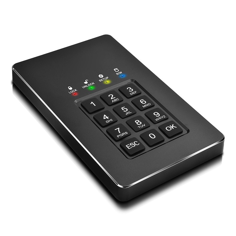 Внешний SD-диск Detector Systems DataLock PRO M2